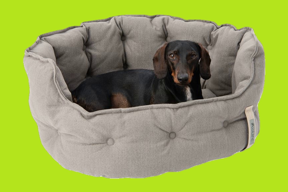 Super Offerta: Il Letto Cozy ecoLIFE per Cani - Conforto e Stile con un Occhio al Pianeta