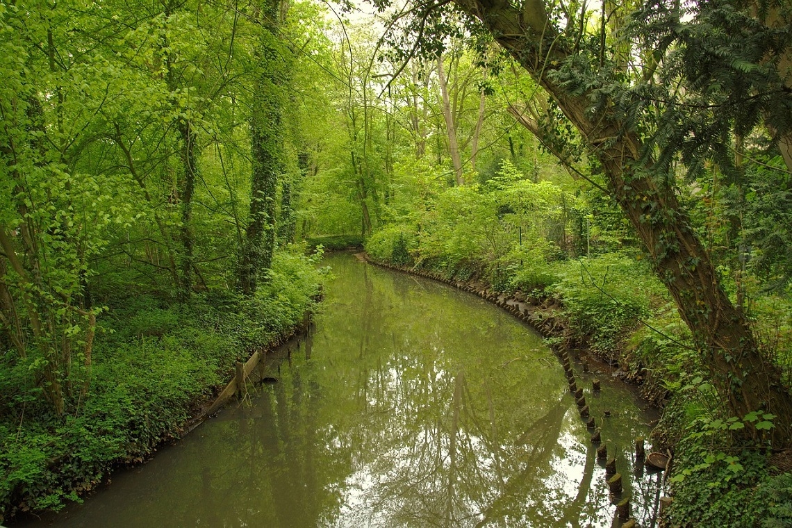 Alla Scoperta dell’Oasi Naturalistica in Val Grande vicino Bibbione