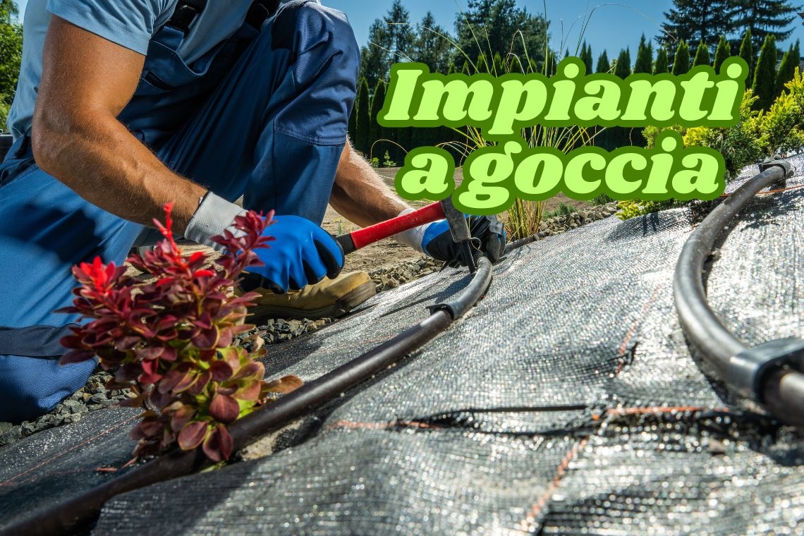 Impianto a Goccia per Giardino: Come Funziona